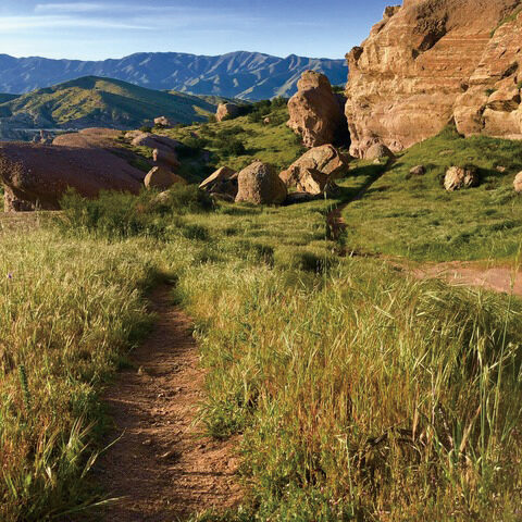 75歳の男性ハイカー、Mount Baldyの崖から転落死　救助隊は注意呼びかけ（1/18）　