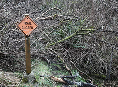 サンバナディーノ国有林が緊急閉鎖　3月16日まで（3/3）