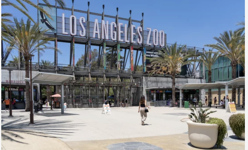 数えきれないほどの木が倒れる　LA動物園が嵐のため閉鎖（3/2）