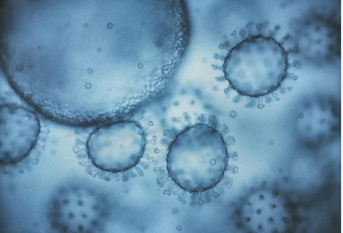 １３０人超がノロウイルス感染、ロングビーチの小学校が休校に（3/20）