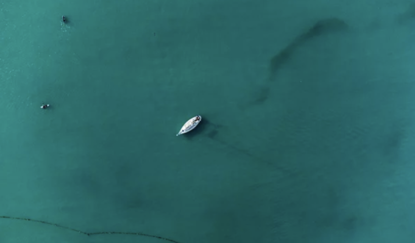 サンディエゴ沖でボート転覆、８人死亡。人身売買が絡む海難事故（3/13）