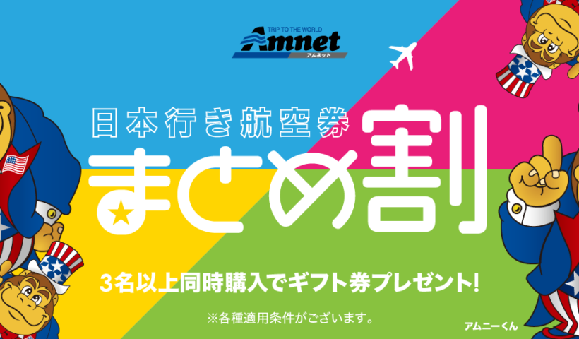 アムネット　日本行き航空券「まとめ割」