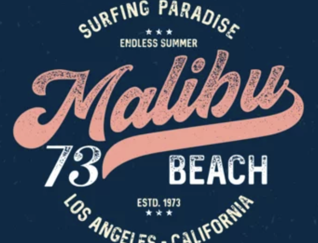 カリフォルニア州内での住宅の最高値を更新　ビヨンセ夫妻、マリブに2億ドルの大豪邸を購入（5/24）