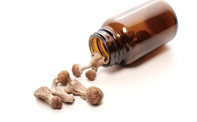 幻覚キノコ６００ポンドを警察が押収　取引額は１５０万ドル以上（6/19）