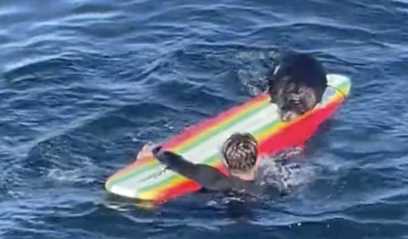 サーフボードに噛み付くラッコ出没　カリフォルニア沖でサーファーやカヤックに近づくラッコ捜索中（7/14）