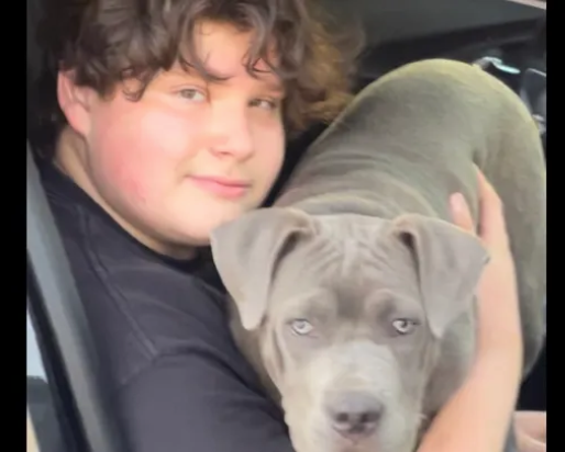 レクリエーション・センター銃撃事件で死亡したのは16歳の少年と判明　グラナダ・ヒルズ（7/24）