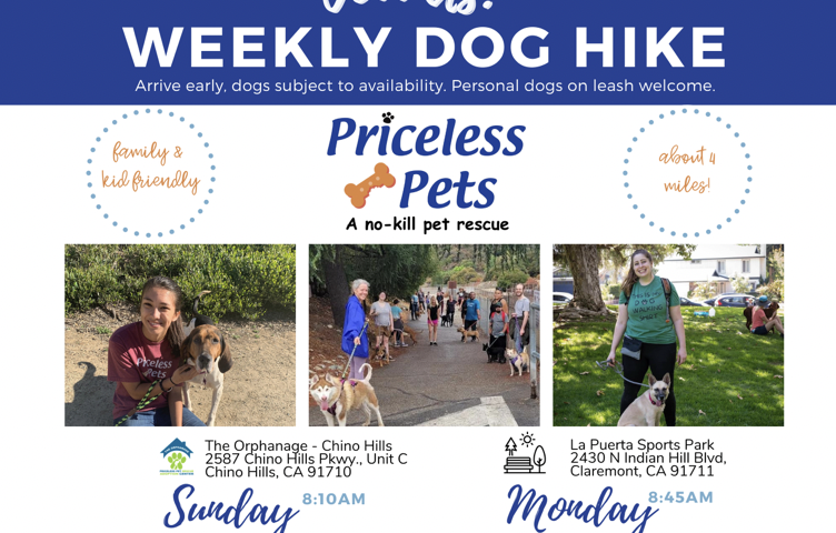 サンガブリエル・バレーに初の「殺処分ゼロ」シェルターがオープン（8/30）