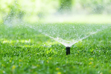 冬の雨量増で散水規則を週3日に緩和　LAのDWP（8/1）