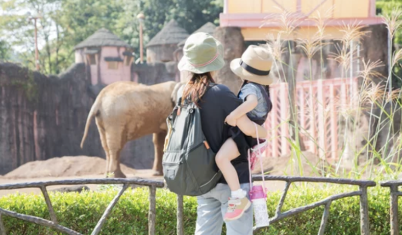 LA動物園、シックスフラッグは閉園。ユニバーサルスタジオ、ディズニーなどは営業中（8/21）