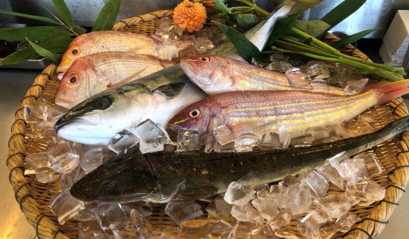 Kozo Sushi Dining デイリースペシャルがスタート！