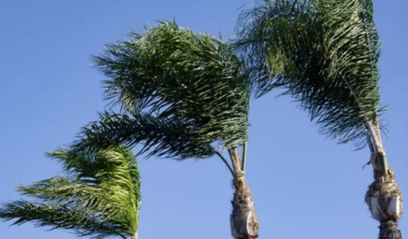 サンタアナ風の影響続く　火曜日まで（10/30）