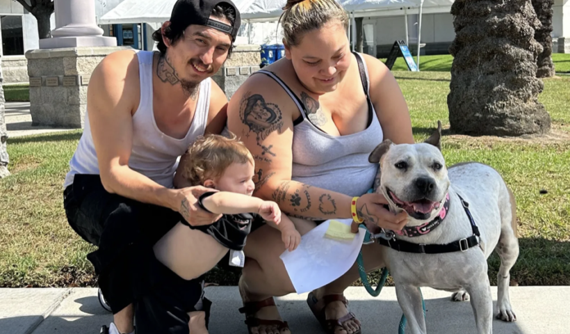 シェルターで1,000日以上過ごした犬が、ついに里親を見つける！　ロングビーチ（10/12）