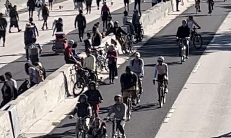 110フリーウェイを人が歩く！犬が歩く！アロヨ・フェストで20年ぶりの史上2度目の通行止め（10/30）