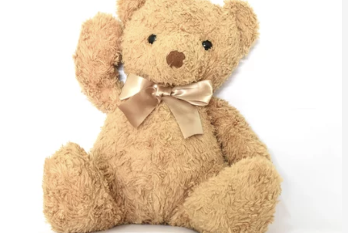 テディベアに爆弾仕掛けた男を逮捕　サンバナディーノ（10/18）