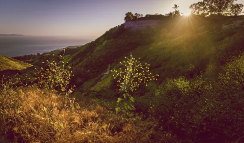 ランチョ・パロス・バーデスで人気の「Portuguese Bend」トレイルが閉鎖　陥没穴、亀裂、落石が確認（10/25）