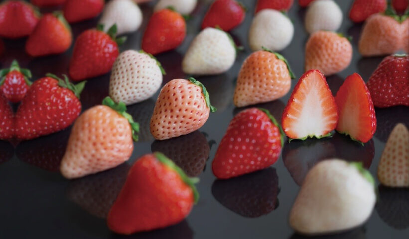 日本産果物を米国のご自宅まで配達！「IKIGAI FRUITS」誕生！