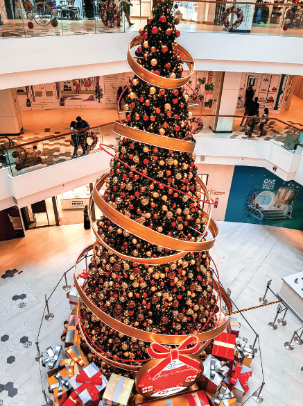 LALALA USA | カリフォルニアで最も背の高い クリスマスツリーに会いに  