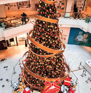 LALALA USA | カリフォルニアで最も背の高い クリスマスツリーに会いに 