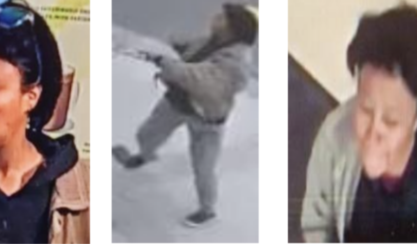 ロサンゼルスのターゲット店で4歳児を誘拐しようとした女の情報求む（2/26）