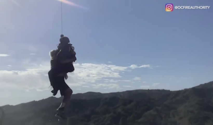 飼っている鳥が脱走　崖にとまっているのを見つけ救助試み、男性が12フィート転落（3/22）