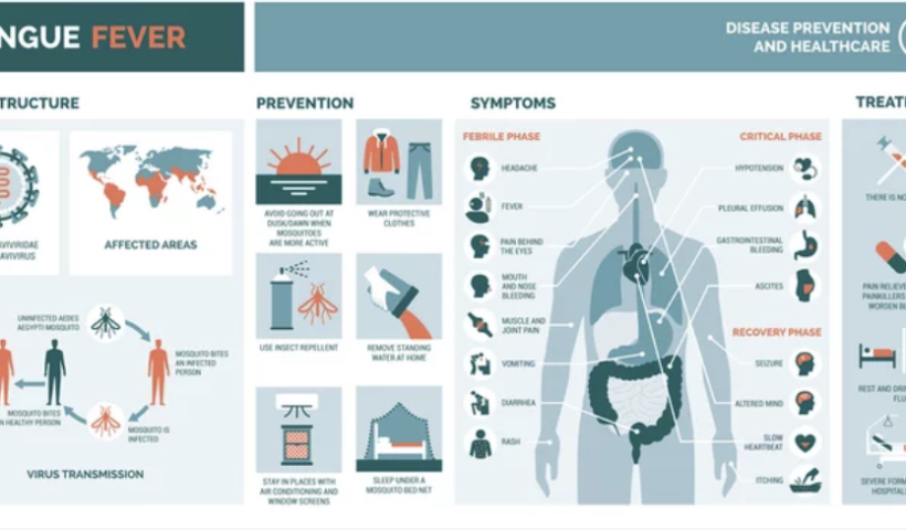 パンアメリカンでデング熱感染が急増　過去最悪シーズンの恐れ（3/29）