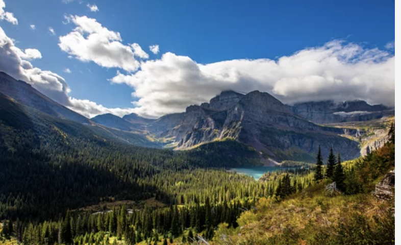 エンゼルス国有林で行方不明の女性を捜索中（3/11）