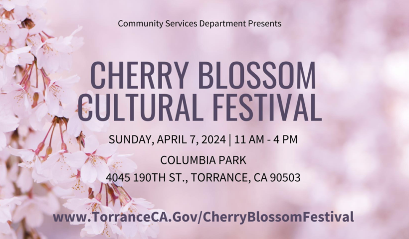 4月7日　トーランスの桜祭りが開催（4/4）