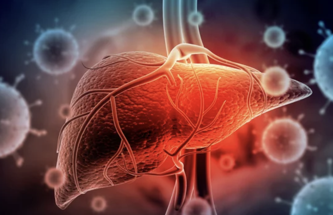 A型肝炎はどのような経路で感染するのでしょうか?
