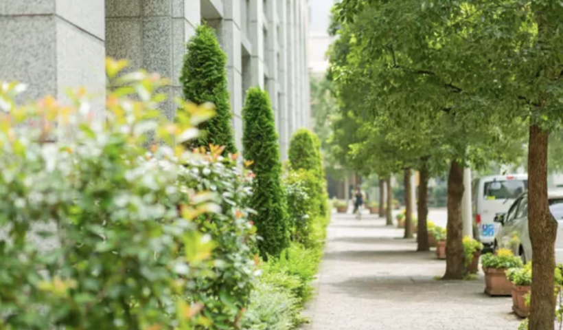 LAダウンタウンで複数の街路樹がチェーンソーで切り倒される　容疑者は全身黒ずくめでBMXバイク乗車（4/21）