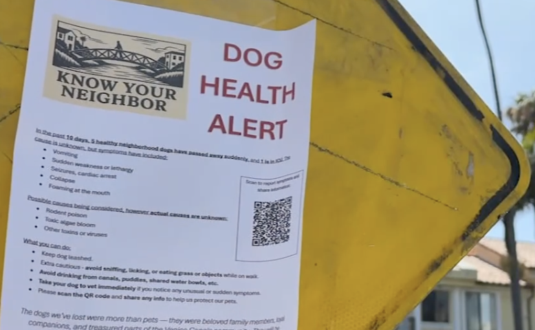 ベニス カナル（Venice Canals）で散歩をした複数の犬が体調不良に　死に至るケースも（7/31）