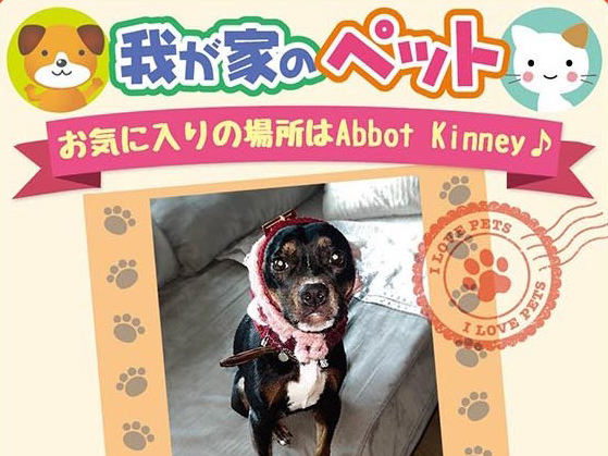 あなたのペットが誌面デビューできるチャンス！