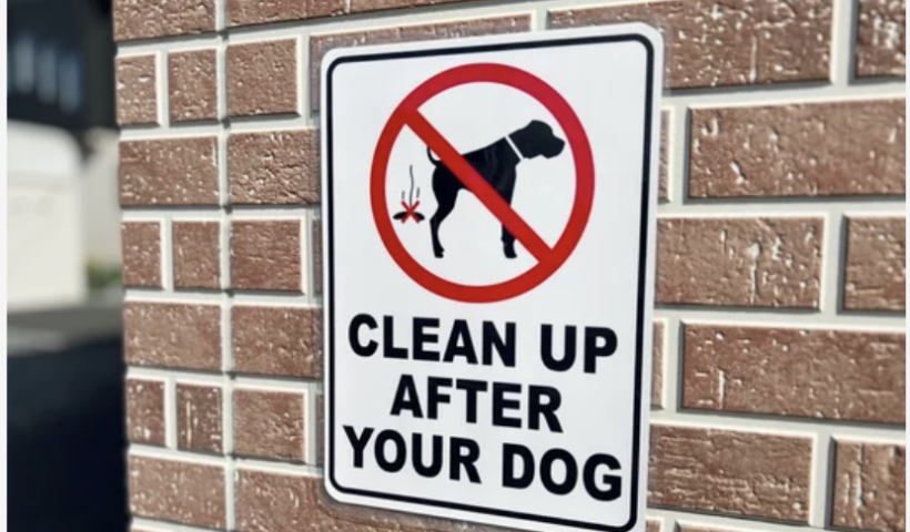 ベル市のLGBTQセンターに大量の犬のフン　郡参事らが情報提供を呼びかけ（8/18）