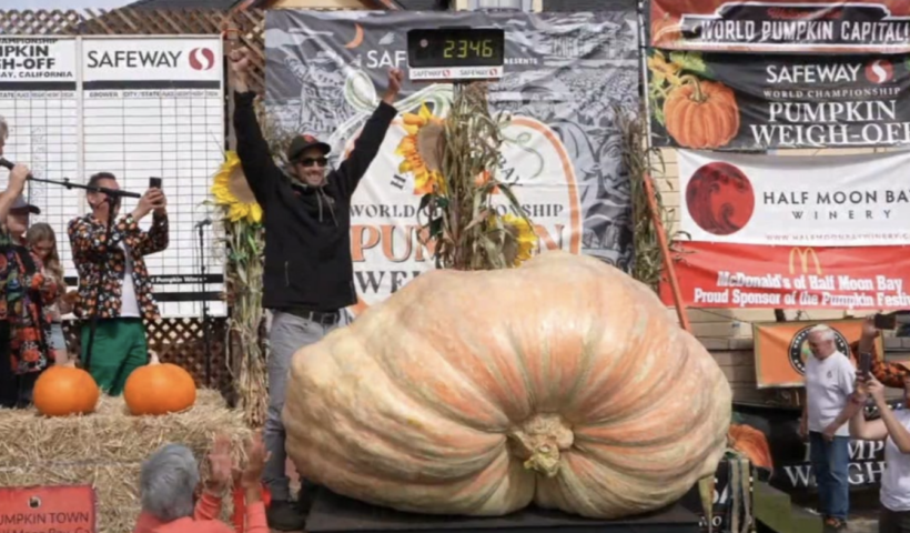 ハーフムーンベイの「世界カボチャ選手権」　今年は約1,100キロのカボチャが優勝！（10/14）