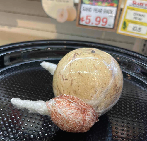 ターキー｜トーランス子育て日記 VOL.111