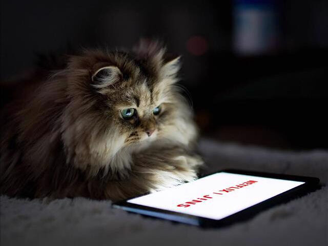 【JINS HOME® × Netflix 家でくつろぐためのメガネが登場！】