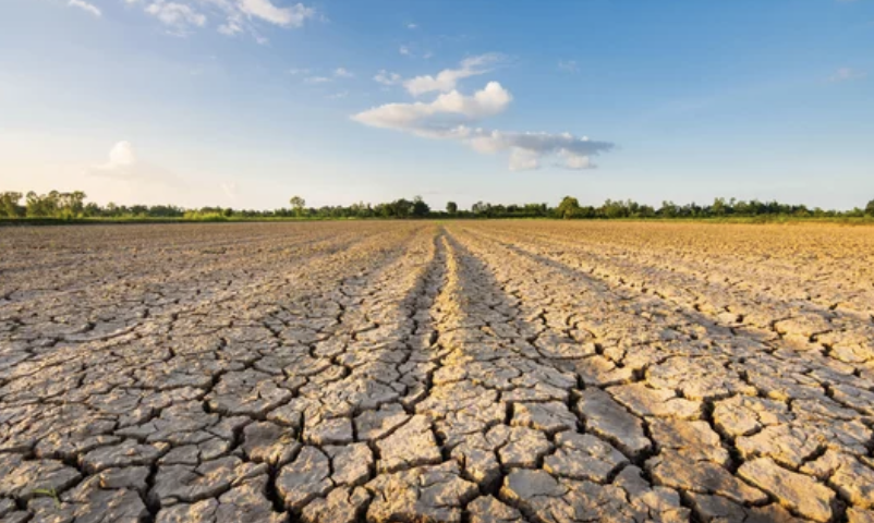 カリフォルニア州、2020年12月以来初めて干ばつの心配なし（1/9）