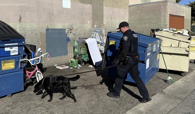 小学校の授業時間中に車内から麻薬発見　Ｋ-９捜査犬「ガター」が摘発に貢献（3/3）