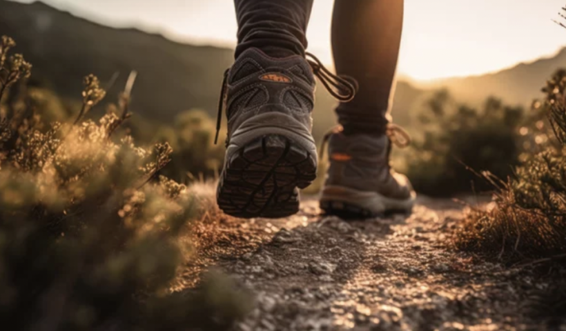 トレイル中の女性がガラガラヘビに咬まれて死亡　相次ぐガラガラヘビ被害に警戒強まる　ベンチュラ郡（3/26）