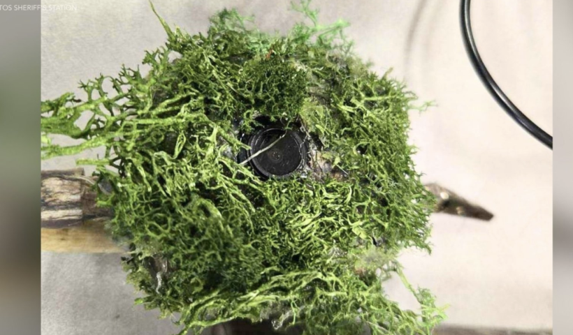 隠しカメラ発見相次ぎ警戒強化　セリトス保安官署が住民に注意喚起（4/7）