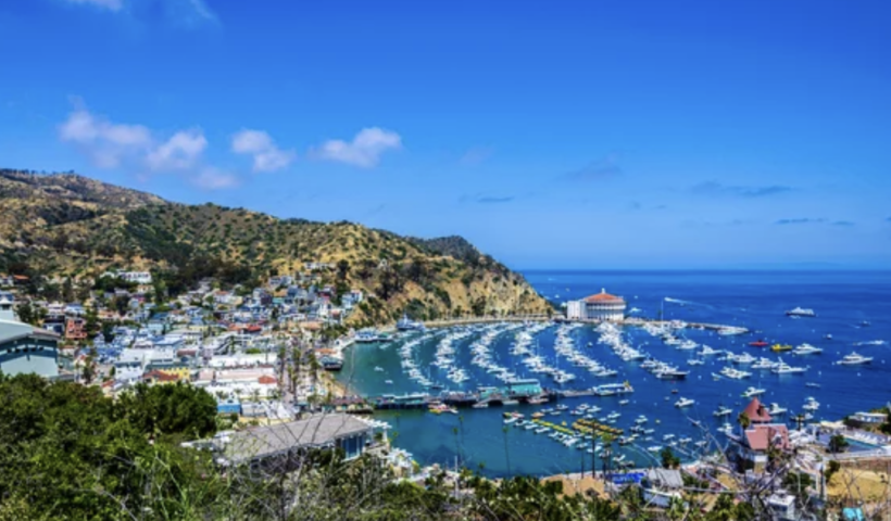 観光地として人気のカタリナ島沖で悲劇　クルーズ船から女性転落し死亡（4/28）