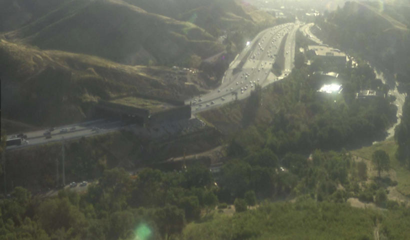 101フリーウェイ　世界最大の野生動物用橋が開通へ　“命の通り道”2026年12月に利用開始（4/27）